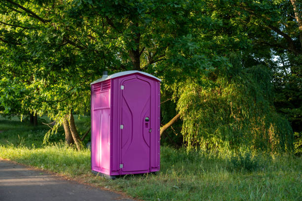 Best Sanitation services for porta potties  in Gold Canyon, AZ